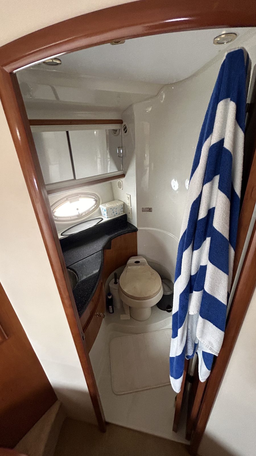 2002 Carver 410 Sport Sedan head and shower